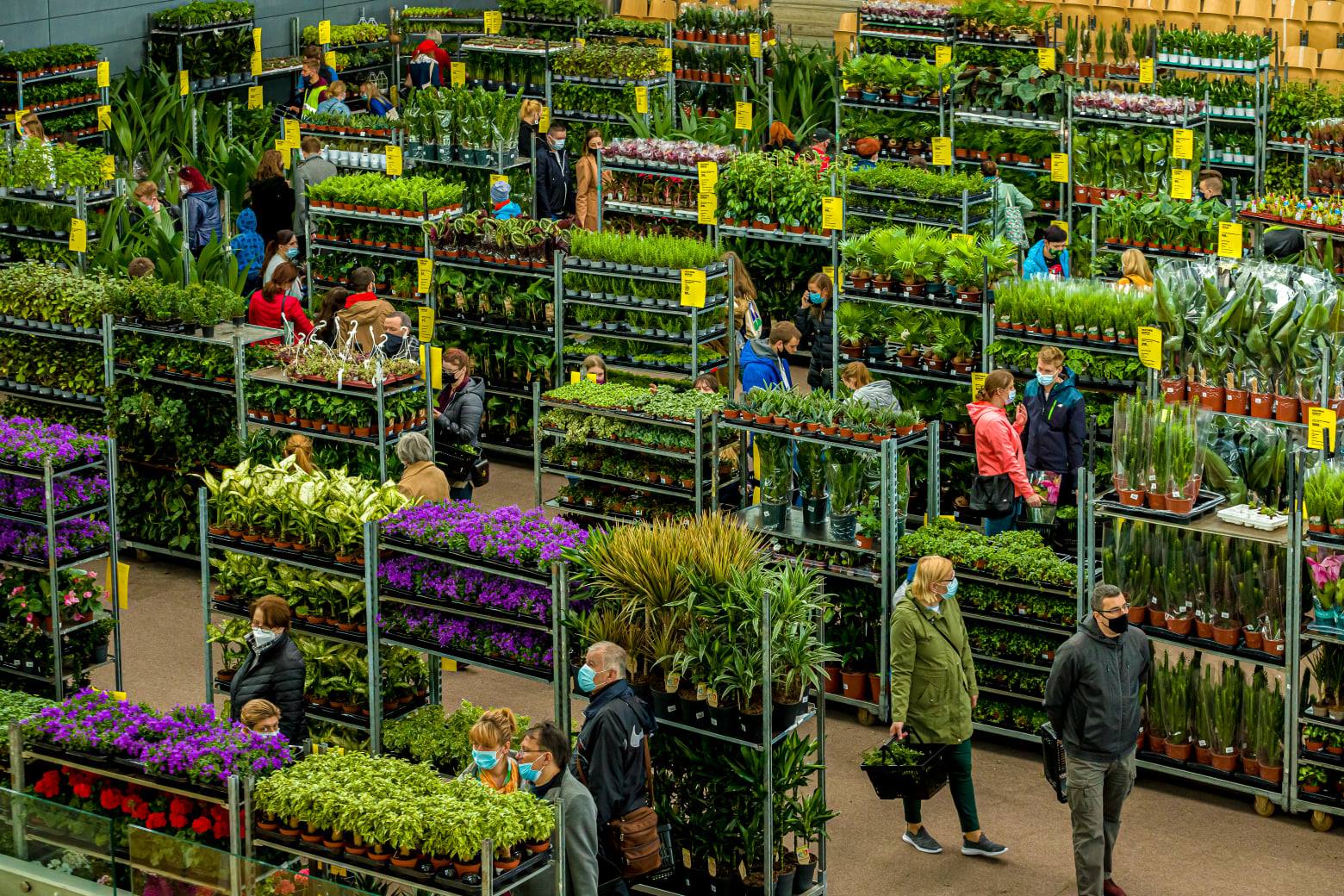 Fot. mat. org. 26 i 27 marca odbędzie się Festiwal Roślin w Spodku