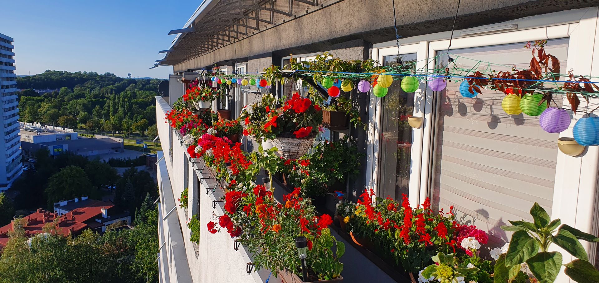 balkon w kwiatach i ozdobach w Katowicach