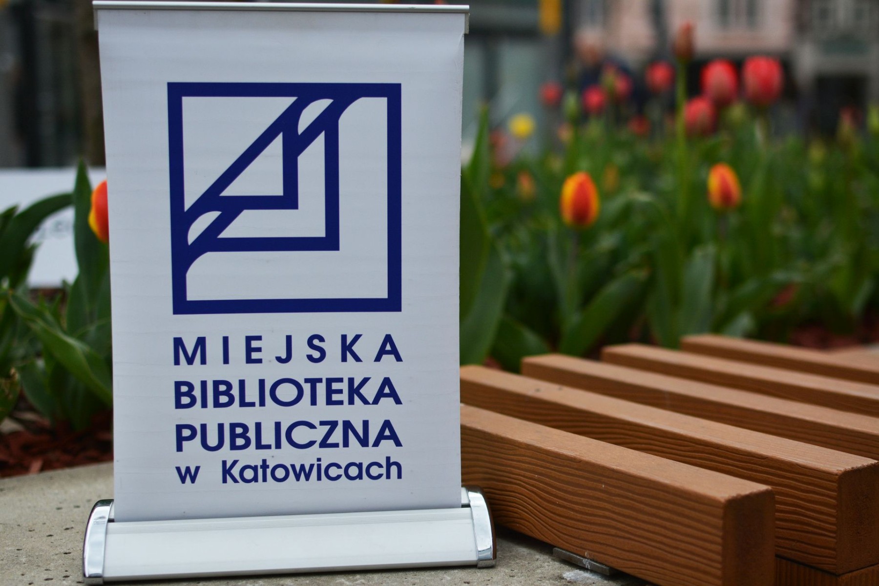 logo biblioteki w katowicach na katowickim rynku przy ławce obok kwiatów