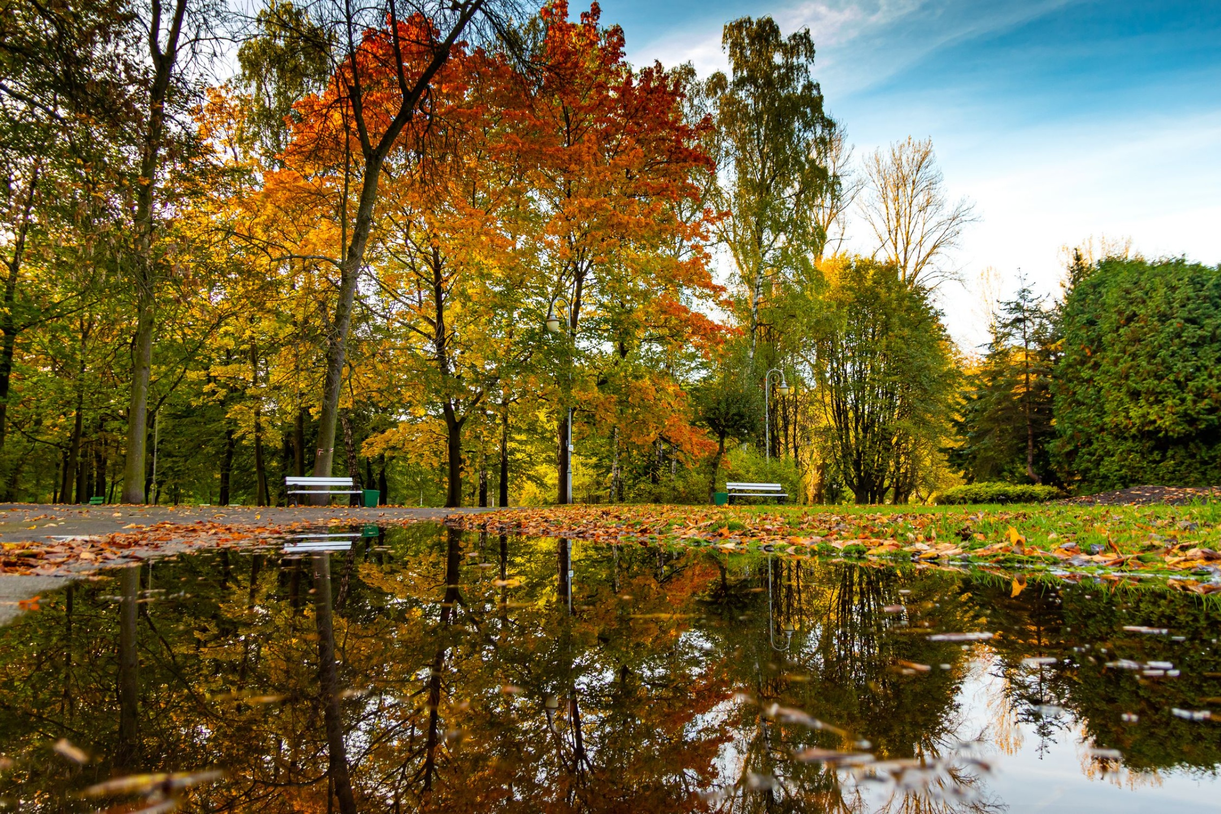 Park Kościuszki jesienią