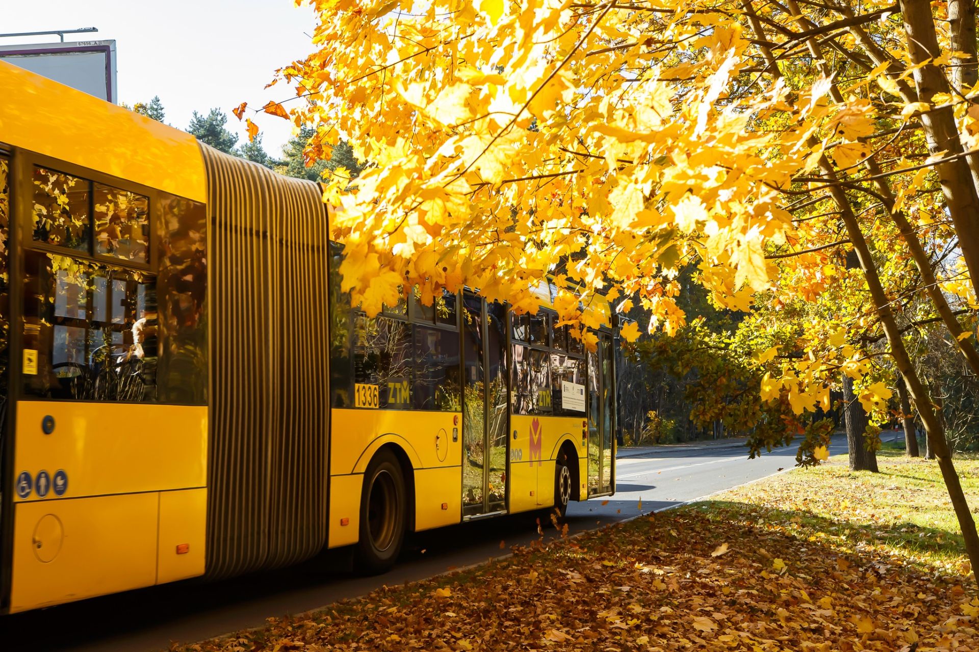 autobus jesień
