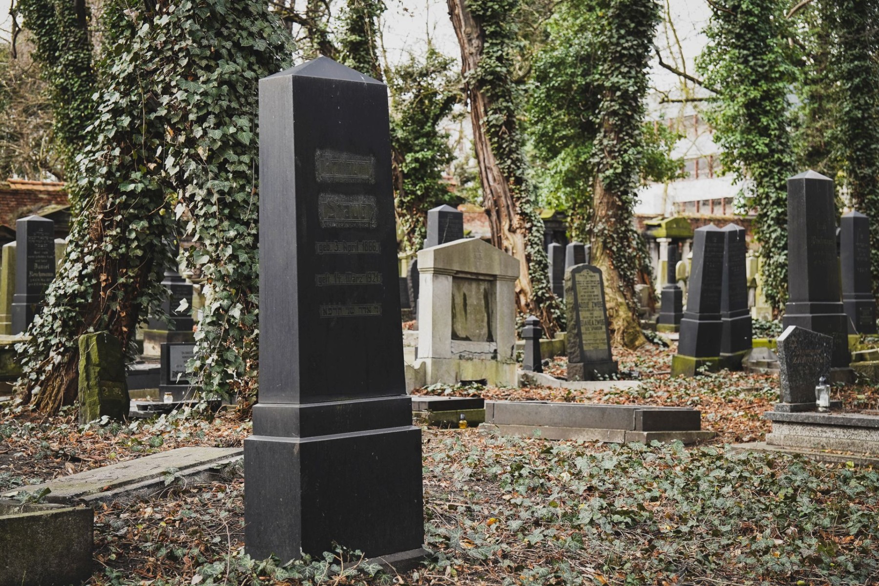 cmentarz żydowski w Katowicach