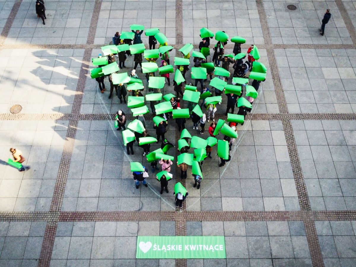 ludzie uformowali zielone serce na rynku w Katowicach
