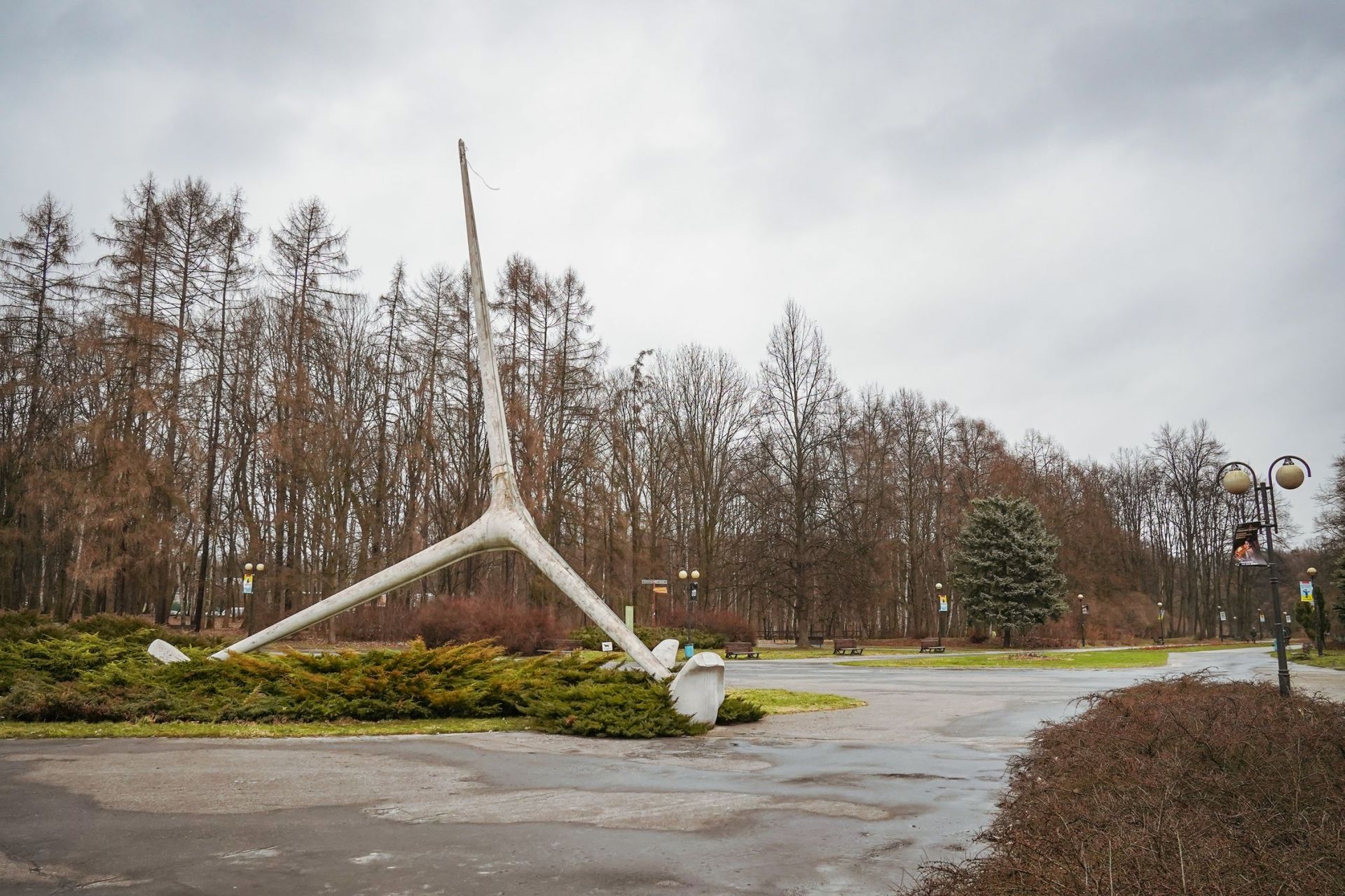 żyrafa park śląski