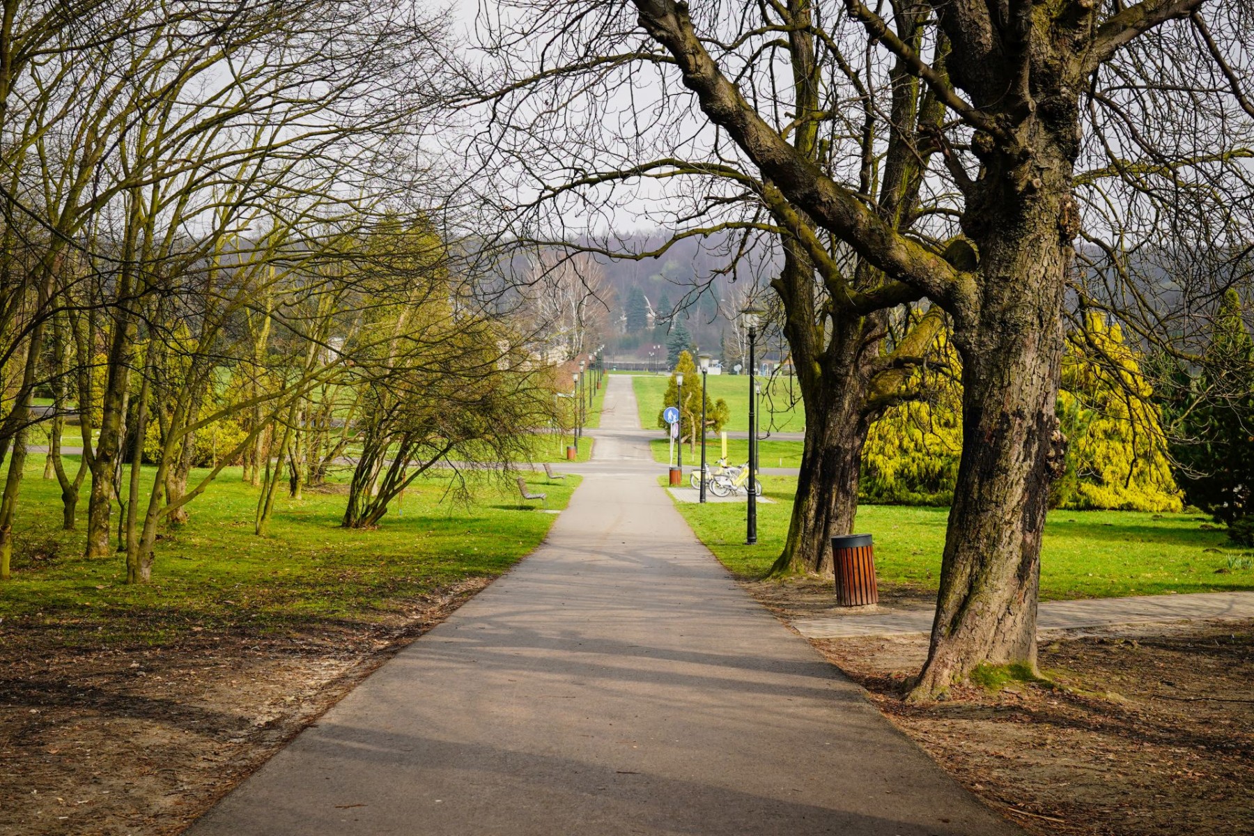 park śląski