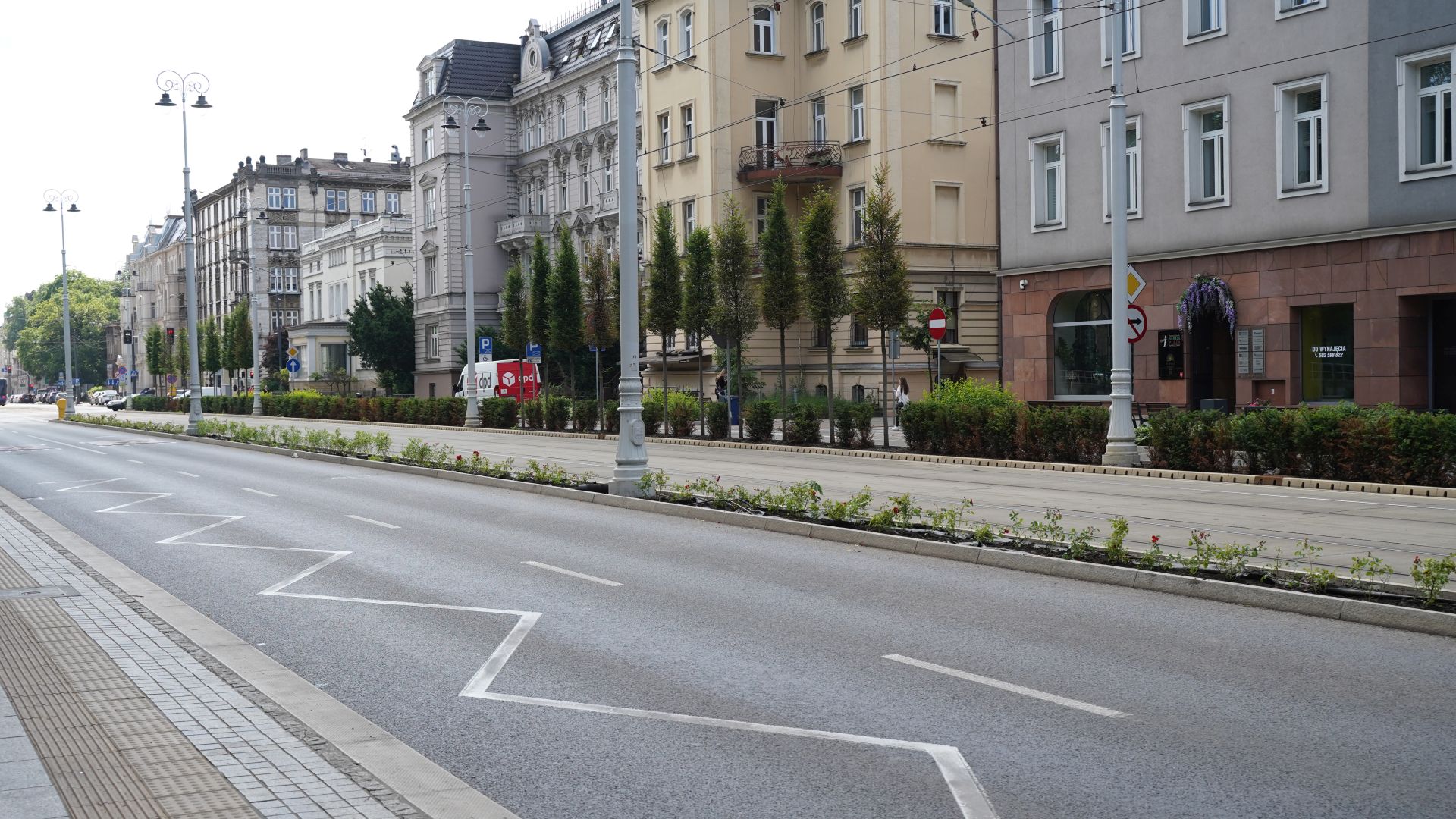 Înlocuirea plantelor la ul.  Varșovia.  Spațiul dintre pistă și drum a fost umplut cu aproximativ 1.000 de trandafiri [Zdjęcia]