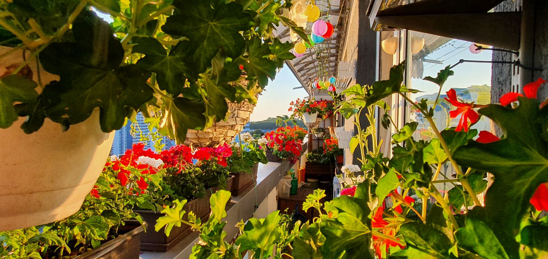 Balkon Adama Lasłowskiego