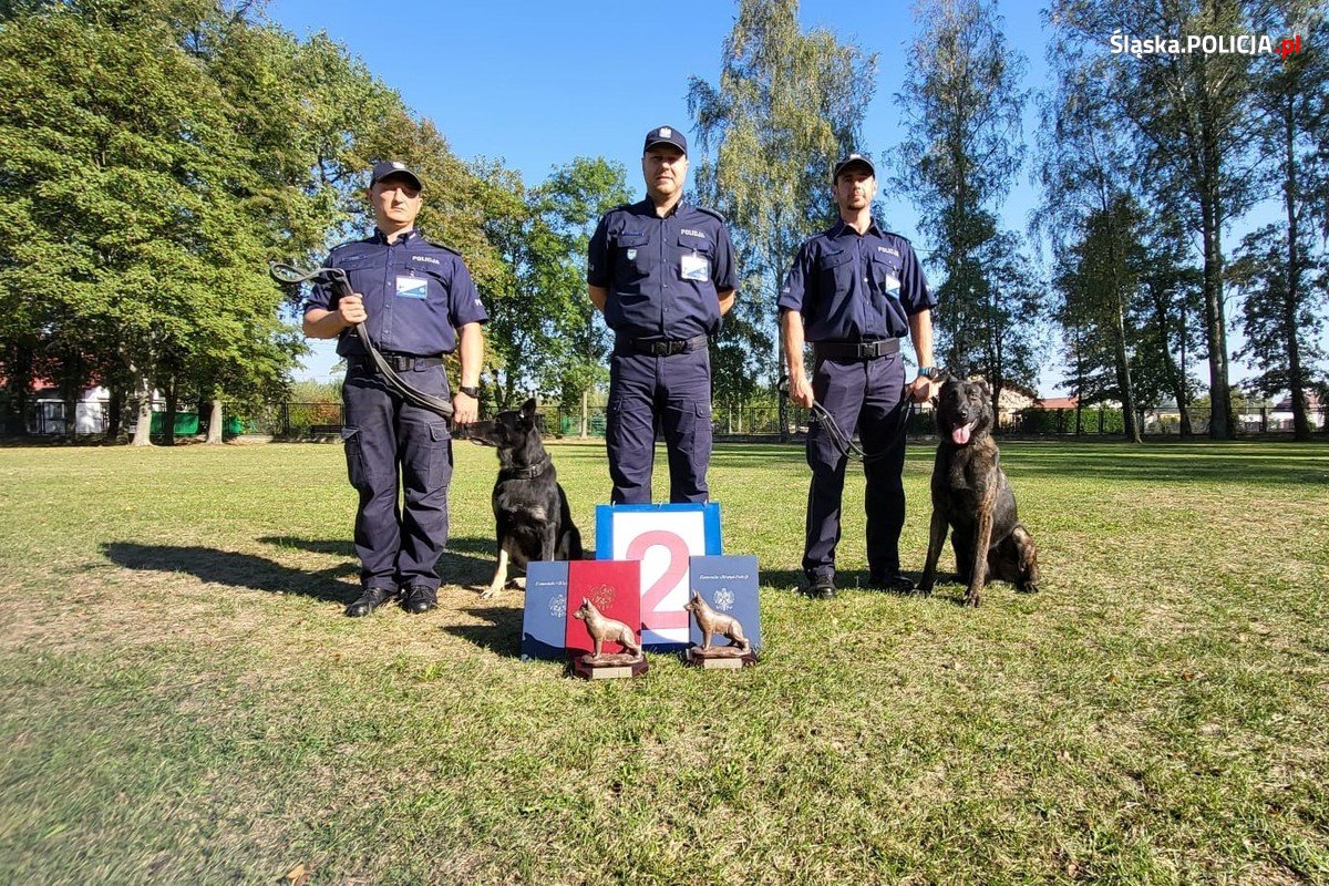 policjanci z psami 