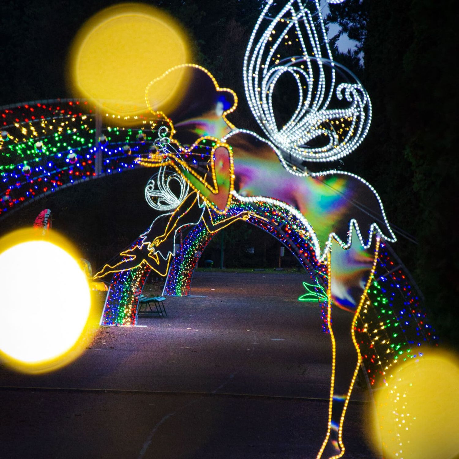 dzwoneczek ilimunacja świetlna garden of lights mikołów