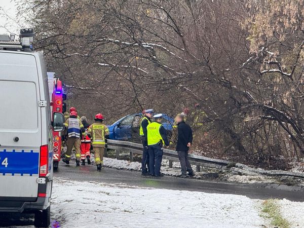 policjanci i samochód za barierami na dk86