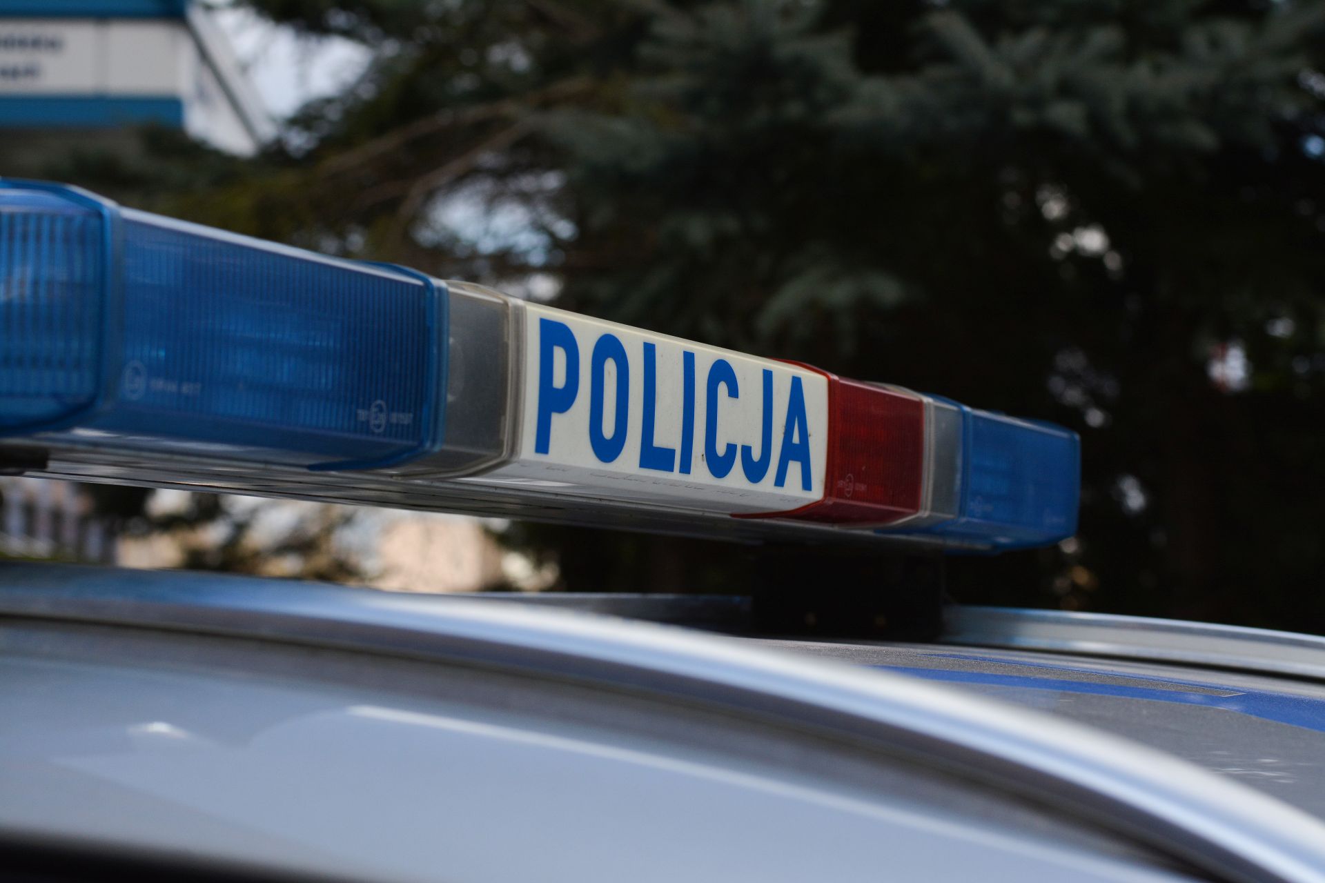 kogut policyjny z napisem policja