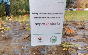 Sopra Steria: nowe nasadzenia róż (9)