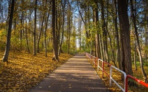 Osiedle Tysiąclecia na jesiennych zdjęciach (13)