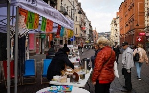 Zbiórka podpisów pod projektem ustawy na ulicy Stawowej w Katowicach (12)