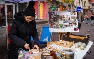 Zbiórka podpisów pod projektem ustawy na ulicy Stawowej w Katowicach (5)