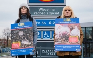 Protest Stowarzyszenia Otwarte Klatki przed Lidlem w Katowicach (2)