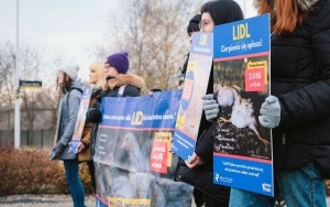 Protest Stowarzyszenia Otwarte Klatki przed Lidlem w Katowicach (4)