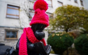 Beboki w Katowicach ubrane na zimę (1)