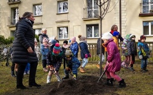 wCOP drzewo w Katowicach. Inauguracja trzeciej edycji programu sadzenia drzew w mieście (3)