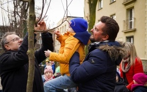 wCOP drzewo w Katowicach. Inauguracja trzeciej edycji programu sadzenia drzew w mieście (6)