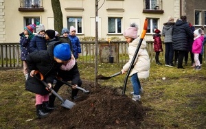 wCOP drzewo w Katowicach. Inauguracja trzeciej edycji programu sadzenia drzew w mieście (8)