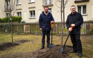 wCOP drzewo w Katowicach. Inauguracja trzeciej edycji programu sadzenia drzew w mieście (10)