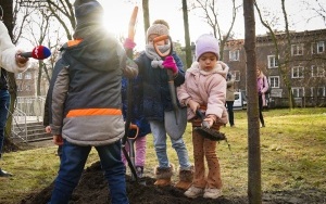 wCOP drzewo w Katowicach. Inauguracja trzeciej edycji programu sadzenia drzew w mieście (19)