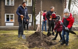 wCOP drzewo w Katowicach. Inauguracja trzeciej edycji programu sadzenia drzew w mieście (20)
