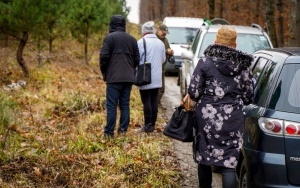 Plantacja choinek Nadleśnictwa Katowice (3)