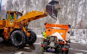 Zima w Katowicach. Na drogi miasta ruszyły pługopiaskarki (2)