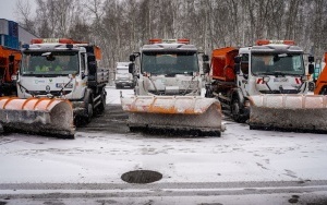 Zima w Katowicach. Na drogi miasta ruszyły pługopiaskarki (5)