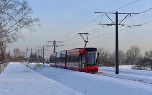 Nowa linia tramwajowa w Sosnowcu (14)