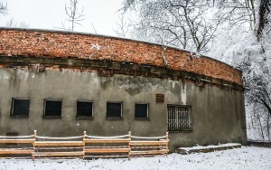 Willa Chruszczowa w Katowicach. Powstanie w niej Centrum Fizjoterapii Pediatrycznej i Onkologicznej  (12)