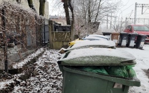 Porzucone odpady w pobliżu torów przy ul. Mikołowskiej 7 (18)