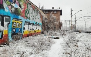 Porzucone odpady w pobliżu torów przy ul. Mikołowskiej 7 (12)