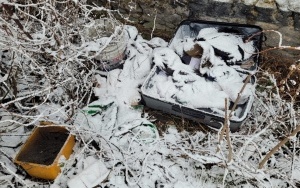 Porzucone odpady w pobliżu torów przy ul. Mikołowskiej 7 (6)