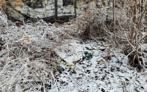 Porzucone odpady w pobliżu torów przy ul. Mikołowskiej 7 (2)