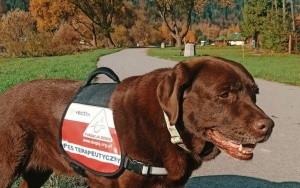 Fundacja DOGIQ szkoli psy dla osób z niepełnosprawnościami (10)