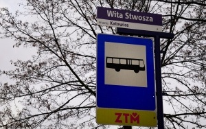 Przystanek Katowice, Wita Stwosza (3)