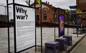 Why war? Wystawa antywojennych plakatów w Muzeum Śląskim  (15)