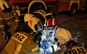 Strażacy uratowali sarenki w Katowicach (3)
