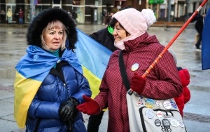 Manifestacja i przemarsz dla Ukrainy  (9)