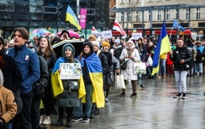 Manifestacja i przemarsz dla Ukrainy  (8)