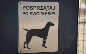 Wybieg dla psów w Katowicach-Załężu (10)
