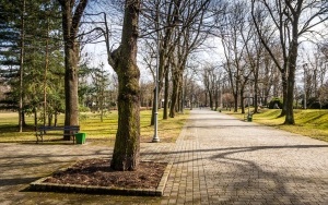 Pierwsze oznaki wiosny w Katowicach (6)