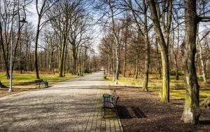 Pierwsze oznaki wiosny w Katowicach (7)