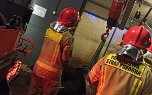 Strażacy uratowali chorego konia (4)