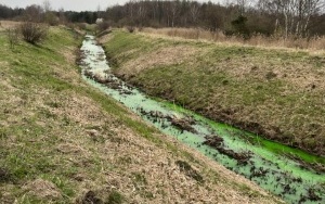 Rzeka Mleczna w Katowicach zmieniła kolor (5)