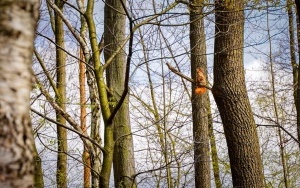 Odpoczynek przy tężni. Wiosenna aura w Parku Zadole (2)