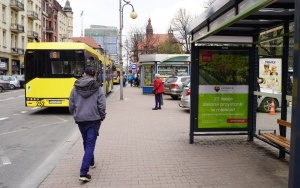 Zielony przystanek na ulicy Mickiewicza (14)